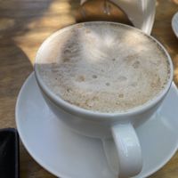 Capuchins  at Miga Vegana in Mexico City