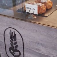 Chocolatin at Miga Vegana in Mexico City