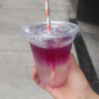  at Miga Vegana in Mexico City