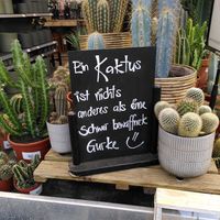 Plant shop inside at Café Florina in Hirschthal