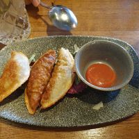Gyoza at Lam Vegan in Hamburg