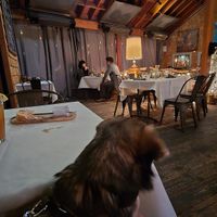 My dog was allowed at Cafe Aroma in Idyllwild