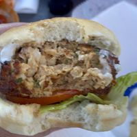   at Mug & Mallet in Ocean City