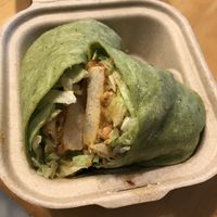 Chipotle wrap  at Project Pollo in Katy