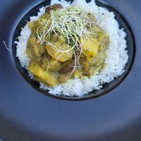 Wild mushroom with rice at Zsóka Fogadója in Szentantalfa