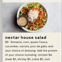 Option – ask for no cheese and different salad dressing  at Nectar: Urban Cantina in Nashville