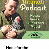 Podcast at Compassionate Living in Santa Rosa