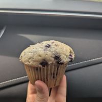 Blueberry lemon muffin at Trufood Cafe in Lions Head