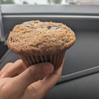 Banana chocolate chip muffin at Trufood Cafe in Lions Head