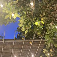 Garten   at Matre in Gallipoli