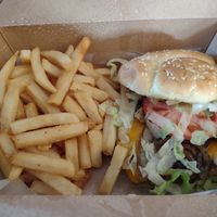 Single cheeseburger with fries at Plant Based Burger Company in Maple Heights