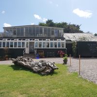 Views from our table at The Noisy Table in Cloyne