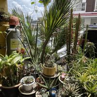 Entrance area of Man Yuan Fang, Melaka  at Man Yuan Fang in Malacca