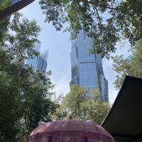 Garden in the city  at Twisted Olive  in Doha