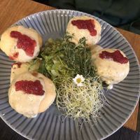 vegetarian yeast dumplings   at U Królika in Gdansk