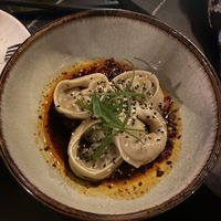The vegan dumplings! The sauce was so tasty and spicy - perfect.  at Bambu in Haarlem