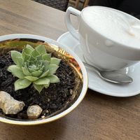 table  at Heilemann in Fulda