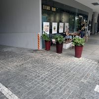  Chilled   at Lilac Oak in Central Singapore