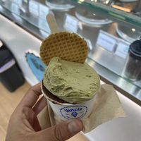   at Vincis Heladería in Barcelona