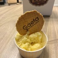   at Gaeta Gelato in Reykjavik