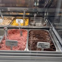   at Gaeta Gelato in Reykjavik