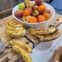  at BaseCamp Bonn in Bonn