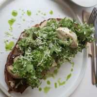 mushroom tartine (new version) at Pinch Brunch Bar in Seoul