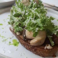 mushroom tartine (new version) - close-up at Pinch Brunch Bar in Seoul