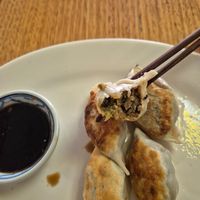 Panfried Dumplings $12: pretty good at Loving Hut in Richmond