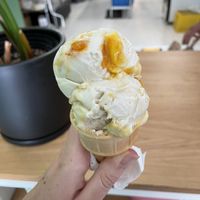   at Honey's in Toronto