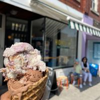 Wild Berry Crunch and Double Chocolate Brownie ice cream. at Honey's in Toronto