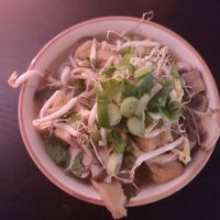 small pho at VietMama in Warsaw