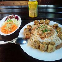 Noodles and spring rolls at Loving Hut - Nowolipie in Warsaw