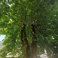  at Gasthof Jaidhaus in Hinterstoder