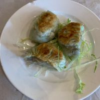   at Full Moon City in The Hague