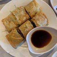   at Full Moon City in The Hague