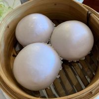   at Full Moon City in The Hague