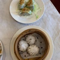   at Full Moon City in The Hague