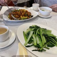   at Full Moon City in The Hague