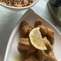   at Full Moon City in The Hague