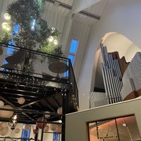   at Café Loft in The Hague