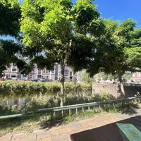   at Café Loft in The Hague