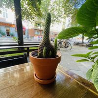   at Ban Vegan in Berlin