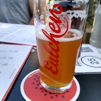 Home brewed beer at Eulchen Brauereiausschank in Mainz