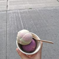 Pandan sour cherry + blueberry cornmeal crisp at Moo Shu Ice Cream in Ottawa
