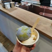 Seasonal vegan ice cream flavors at Moo Shu Ice Cream in Ottawa