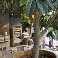 Espresso House, Berlin  at Espresso House - Karl-Liebknecht in Berlin