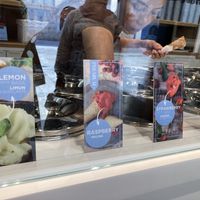 The 4 vegan options they had  at Aroma Gelato Experience in Dubrovnik
