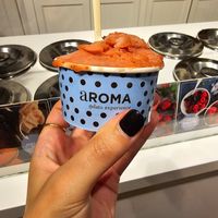 Strawberry with Mint Sorbet at Aroma Gelato Experience in Dubrovnik