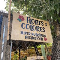   at Flores & Colores in Sayulita
